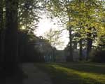 Parkbereich auf der Bühlerhöhe